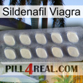 Sildenafil Viagra 08